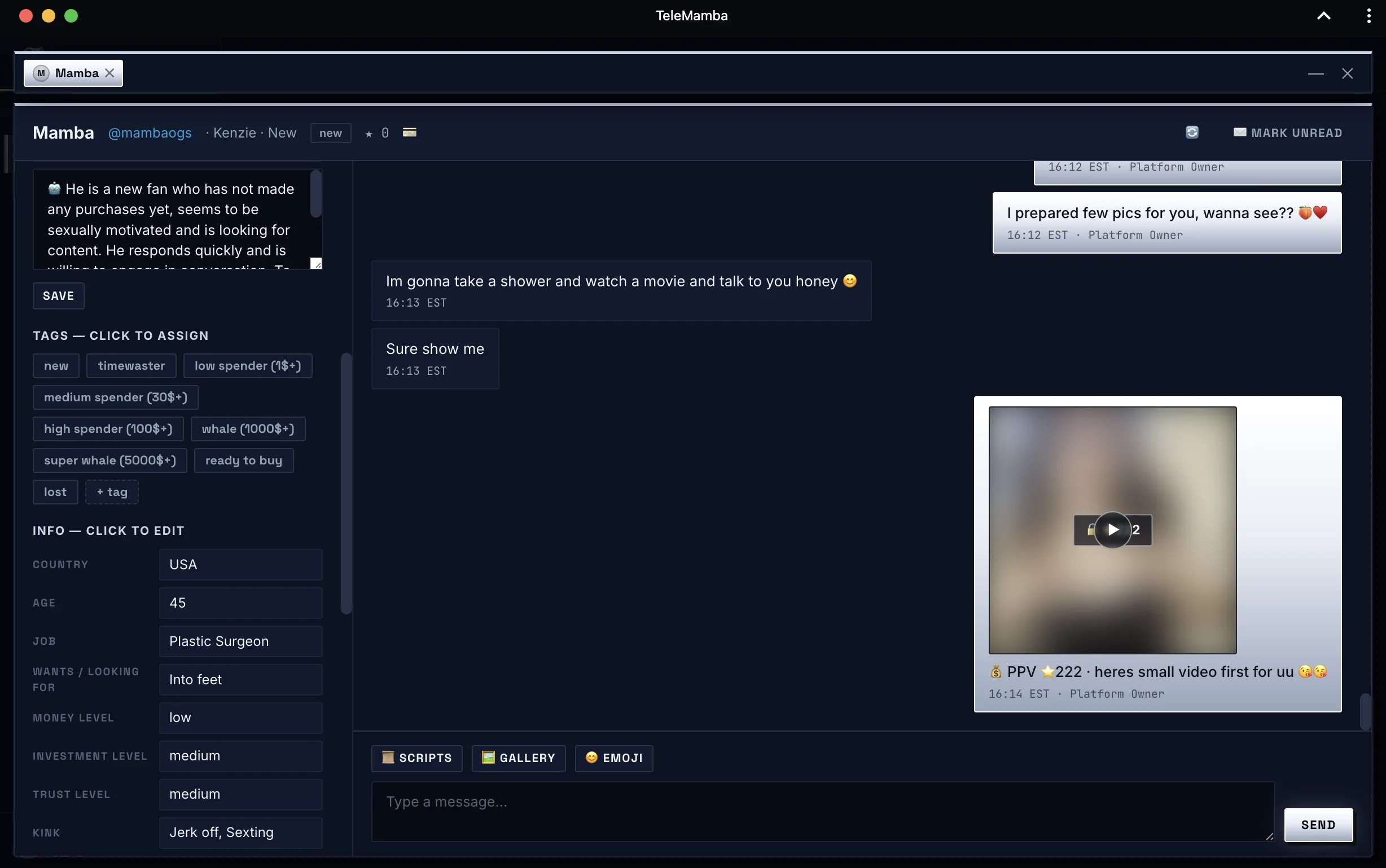 TeleMamba — a chat with a fan, with his profile and price ladder